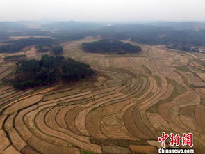 環保部原則通過農用地土壤環境管理辦法草案，推動環境治理新階段
